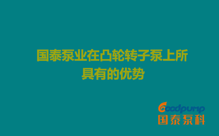 茄子视频污版泵业在凸轮茄子你更懂app官网上所具有的优势
